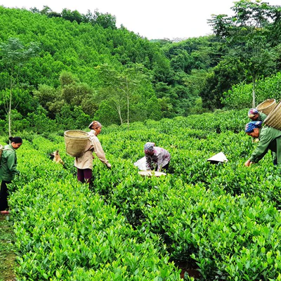 Thông tin kết quả thực hiện nhiệm vụ theo Nghị định thư mã số NĐT/AT/22/02 