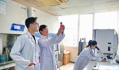 Cơ chế, chính sách thu hút chuyên gia khoa học, công nghệ, đổi mới sáng tạo và chuyển đổi số