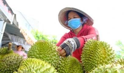 Lâm Đồng tăng tốc minh bạch số cho nông sản