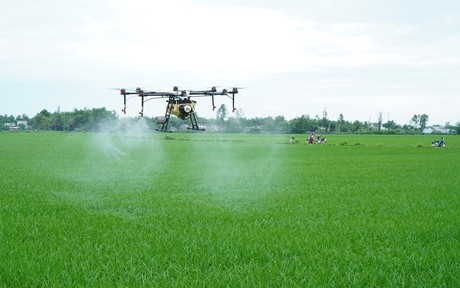 An Giang phát triển nông nghiệp ứng dụng công nghệ cao