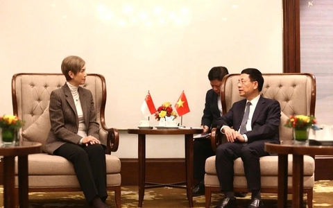 Viet Nam, Singapore eye stronger cooperation in 5G, AI governance