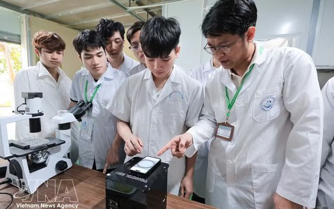 Talent strategy seen as key to Vietnam's next growth phase