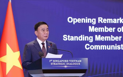 Viet Nam, Singapore hold first strategic dialogue