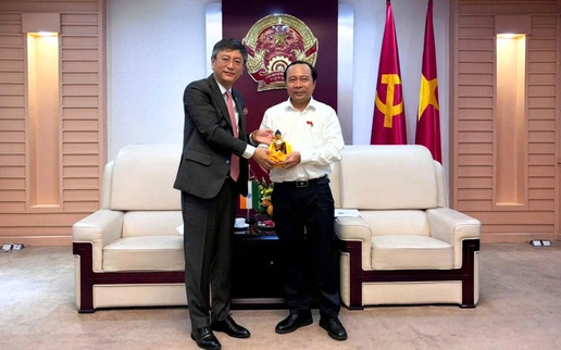 Việt Nam - Ấn Độ trao đổi hợp tác bán dẫn, AI và chuyển đổi số