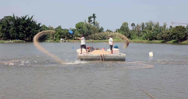Cà Mau – Khai thác ưu thế công nghệ số