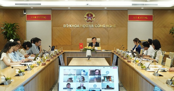 Việt Nam và Brazil tăng cường hợp tác trong lĩnh vực khoa học, công nghệ, đổi mới sáng tạo và chuyển đổi số