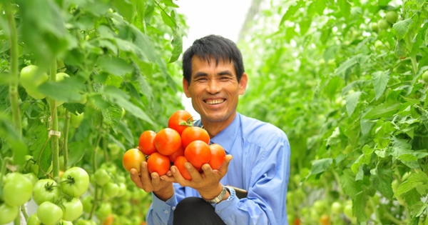 Giảm nghèo đa chiều tại Lâm Đồng: Những chuyển biến tích cực và định hướng phát triển bền vững