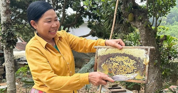 Ninh Bình nỗ lực thực hiện giảm nghèo bền vững vùng đồng bào dân tộc thiểu số