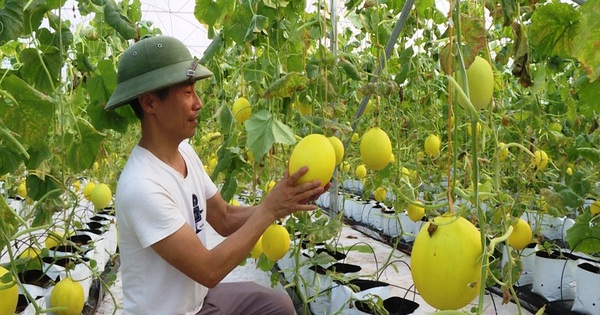 Ninh Bình: Giảm nghèo bền vững – Hành trình vì cuộc sống ấm no