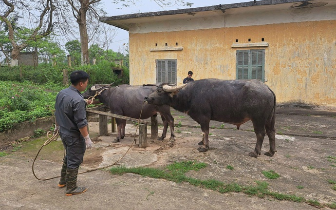 Giải pháp quyết định cho công cuộc giảm nghèo Khánh Hòa