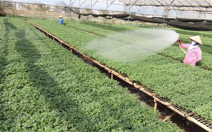 An Giang - Đẩy mạnh đầu tư công nghệ trong nông nghiệp, công nghiệp chế biến