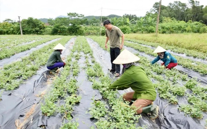 Mở ra không gian phát triển mới cho công tác xóa đói giảm nghèo tại Quảng Trị