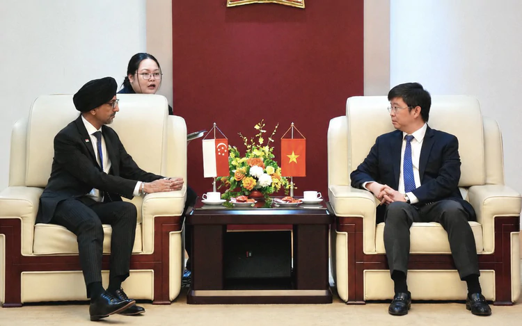 Viet Nam and Singapore strengthen capacity building and digital government cooperation