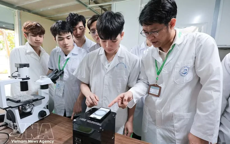 Talent strategy seen as key to Vietnam's next growth phase