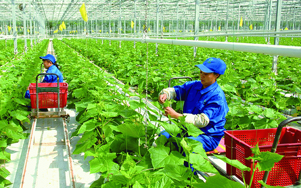 Thanh Hóa tăng tốc chuyển đổi số, mở rộng không gian phát triển